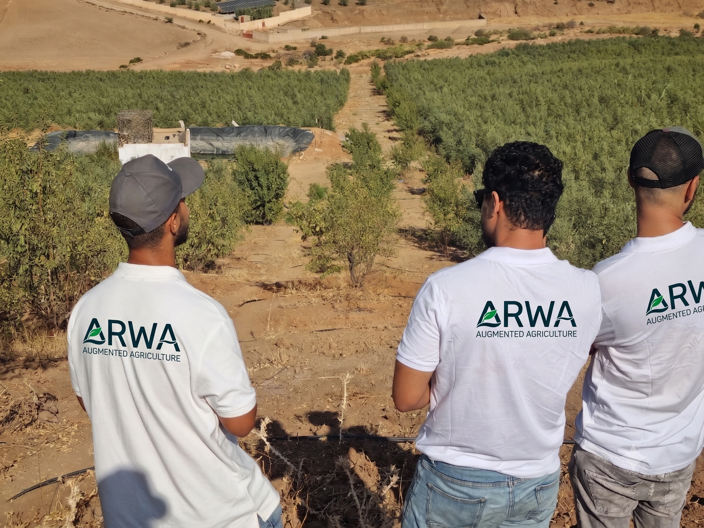 ARWA technician inspecting a smart agriculture field with sensor monitoring