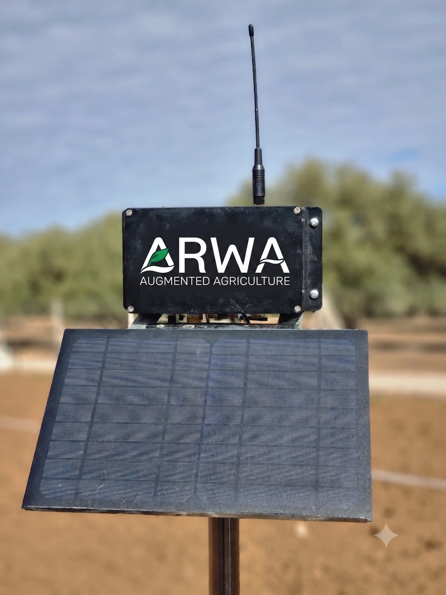 Made in Morocco Agriculture